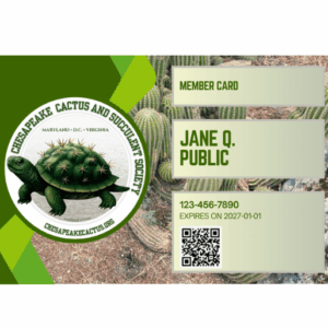 CCSS One-Year Membership
