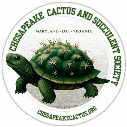 Chesapeake Cactus and Succulent Society